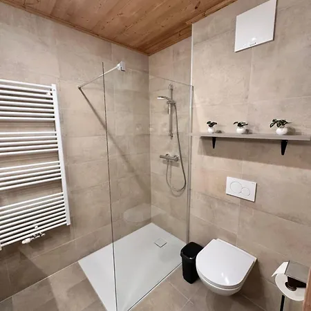 Apartment Alpin 201 Schladming